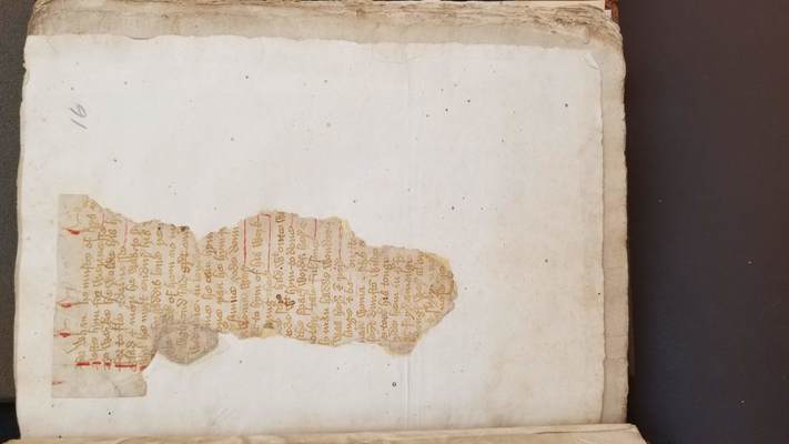 Bodleian Library Rawlinson poet. 225